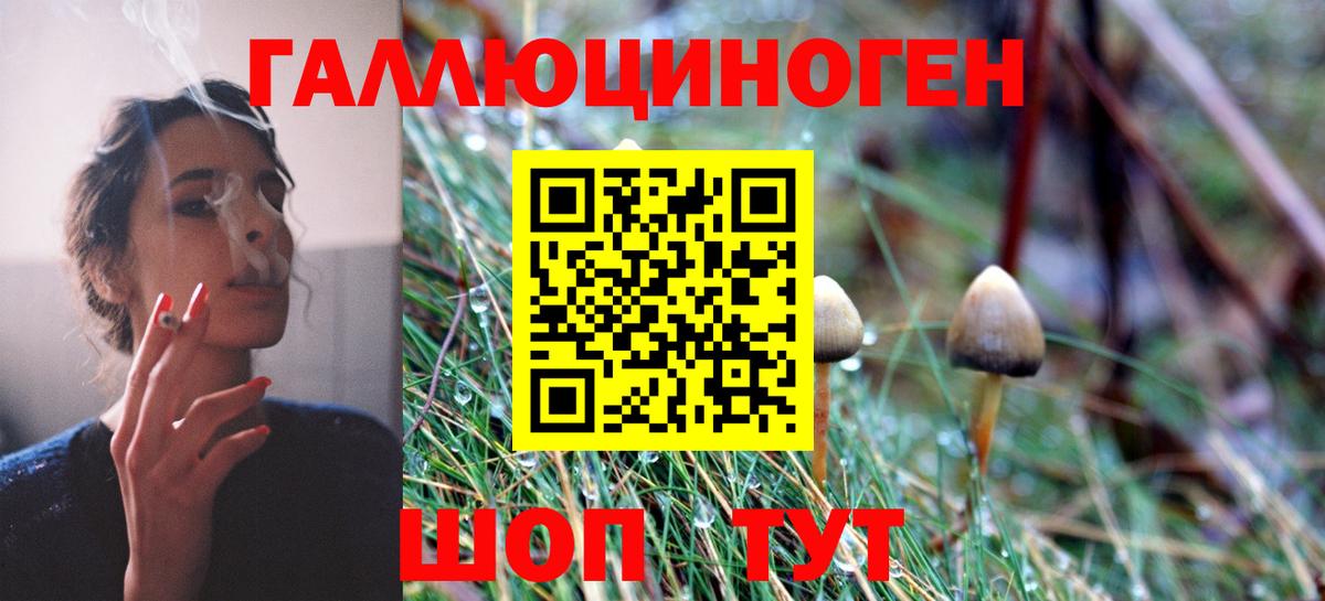 Галлюциногенные грибы GOLDEN TEACHER Краснокамск